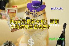 Pepe币最新分析：当前入场时机是否成熟？