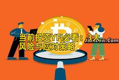 当前投资YFI必看：3大风险与应对策略