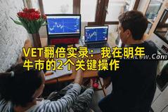 VET翻倍实录：我在明年牛市的2个关键操作
