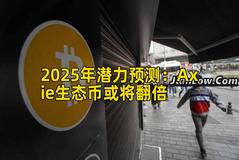 2025年潜力预测：Axie生态币或将翻倍