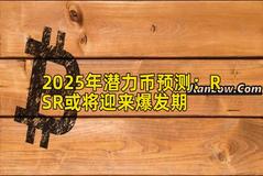 2025年潜力币预测：RSR或将迎来爆发期
