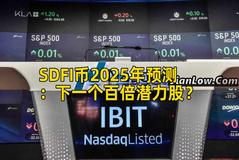 SDFI币2025年预测：下一个百倍潜力股？
