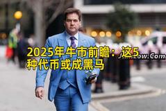 2025年牛市前瞻：这5种代币或成黑马