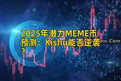2025年潜力MEME币预测：Kishu能否逆袭？