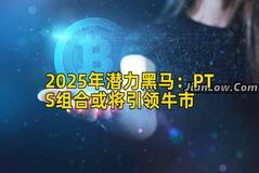 2025年潜力黑马：PTS组合或将引领牛市
