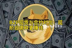 BZP现货与合约对比：现阶段哪种更赚钱