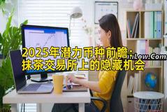 2025年潜力币种前瞻：抹茶交易所上的隐藏机会