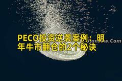 PECO投资逆袭案例:明年牛市翻仓的2个秘诀 PECO投资逆袭案例:明年牛市翻仓的2个秘诀