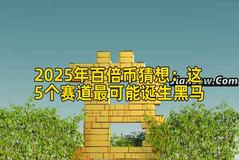 2025年百倍币猜想：这5个赛道最可能诞生黑马