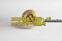 2025年潜力币种：Vine或成下一匹黑马