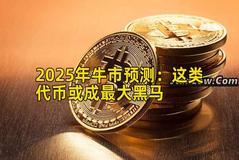 2025年牛市预测：这类代币或成最大黑马
