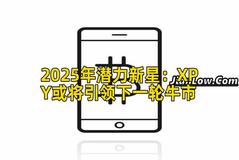 2025年潜力新星：XPY或将引领下一轮牛市