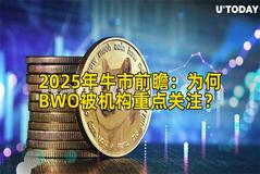 2025年牛市前瞻：为何BWO被机构重点关注？