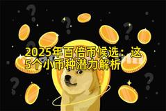 2025年百倍币候选：这5个小币种潜力解析