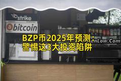 BZP币2025年预测：警惕这3大投资陷阱