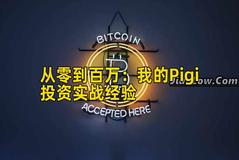 2026年行情分析：我的Pigi投资实战经验