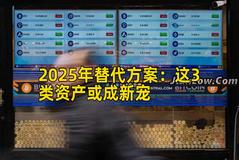 2025年替代方案：这3类资产或成新宠