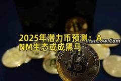 2025年潜力币预测：ANM生态或成黑马