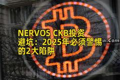 NERVOS CKB投资避坑：2025年必须警惕的2大陷阱
