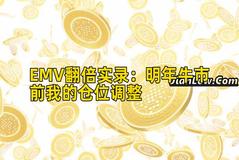 EMV翻倍实录：明年牛市前我的仓位调整