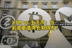 XTM vs 主流币：当前谁更值得长期持有？