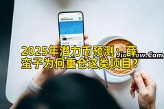 2025年潜力币预测：薛蛮子为何重仓这类项目？