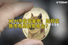 XCH币投资案例：如何在熊市布局明年机会？
