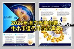 2025年潜力币种前瞻：中小市值代币或成黑马