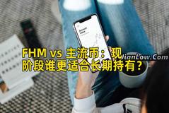 FHM vs 主流币：现阶段谁更适合长期持有？