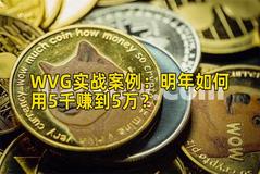 WVG实战案例：明年如何用5千赚到5万？