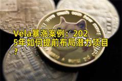 Vela暴涨案例：2025年如何提前布局潜力项目？
