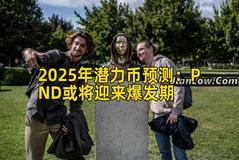 2025年潜力币预测：PND或将迎来爆发期