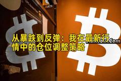 从暴跌到反弹：我在最新行情中的仓位调整策略