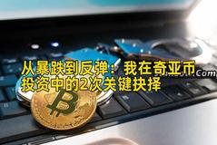 从暴跌到反弹：我在奇亚币投资中的2次关键抉择