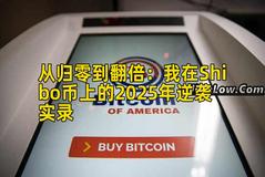 从归零到翻倍：我在Shibo币上的2025年逆袭实录