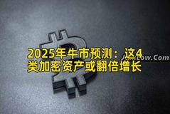 2025年牛市预测：这4类加密资产或翻倍增长