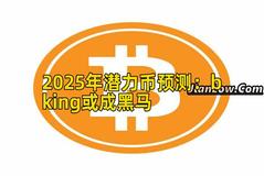 2025年潜力币预测：bking或成黑马