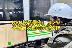 NBN投资案例：2025年翻倍收益的关键操作