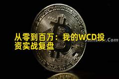 从零到百万：我的WCD投资实战复盘