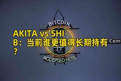 AKITA vs SHIB：当前谁更值得长期持有？