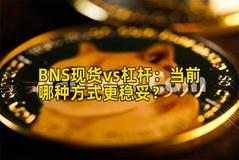 BNS现货vs杠杆：当前哪种方式更稳妥？