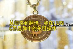 从归零到翻倍：我在LUNC币反弹中的关键操作