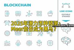 2025年潜力币种预测：Meer能否成为黑马？