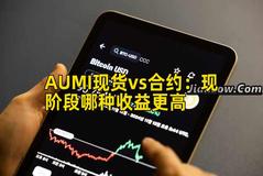 AUMI现货vs合约：现阶段哪种收益更高