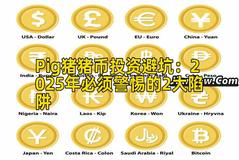 Pig猪猪币投资避坑：2025年必须警惕的2大陷阱