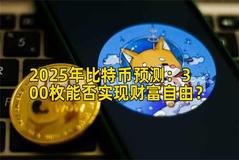 2025年比特币预测：300枚能否实现财富自由？