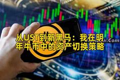 从UST到新黑马：我在明年牛市中的资产切换策略
