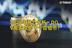 2025年潜力分析：DOV能否成为下个百倍币？
