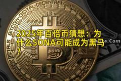 2025年百倍币猜想：为什么SONA可能成为黑马？