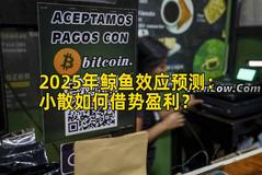 2025年鲸鱼效应预测：小散如何借势盈利？